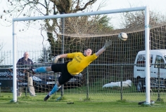 senurs_vs_avondale_nov_23rd_2013_20131123_1142761882