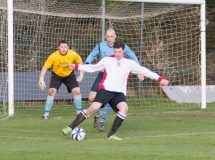 senurs_vs_avondale_nov_23rd_2013_20131123_1696684733