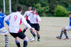 seniors_vs_fermoy_23rd_aug_2014_20140826_1624177798