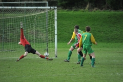 Seniors vs Rockmount - 3rd Mar 2012 - Donie Forde SF