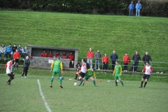 seniors_vs_rockmount_donie_forde_sf_20130820_1422537495