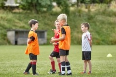 Summer Camp 2021