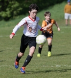 U12-Boys-vs-Innishvilla-3rd-May-20255906