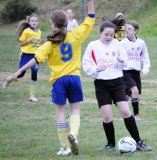 u12_girls_v_douglas_hall_29th_november_2014_1_20141205_1381261719