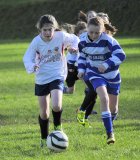 u12_girls_vs_richmond_jan_18th_2014_20140120_1598319468